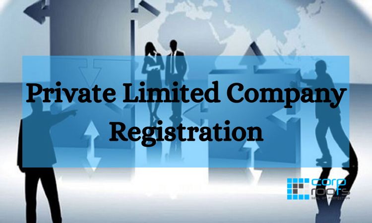 Private Limited registration (PVT LTD)