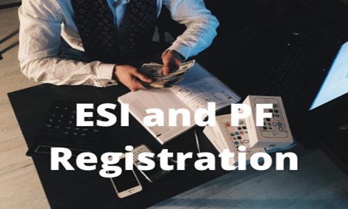 ESI, PF REGISTRATION & RETURN